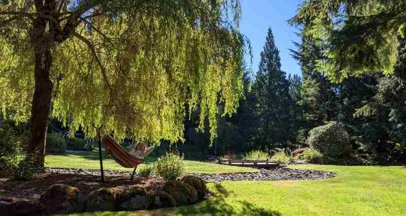 A tranquil garden scene featuring a person resting in a hammock beneath a large, leafy tree, surrounded by vibrant greenery and towering evergreens, symbolizes the importance of stepping away from work as a vital part of the idea incubation process.